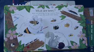 Libri per bambini_questions and answers about nature_interno