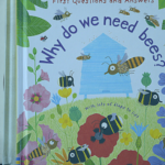Libri per bambini_why do we need bees_copertina