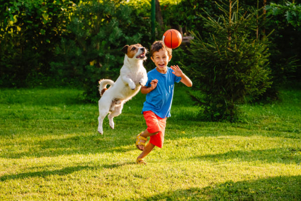 having-a-dog-good-for-your-child-play