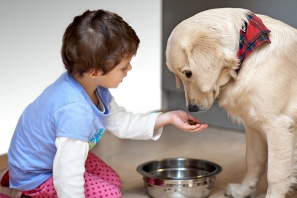 having-a-dog-good-for-your-child-teaches-responsibility