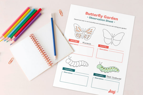 butterfly-observation-sheet-mockup-red